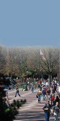 brickyard photo